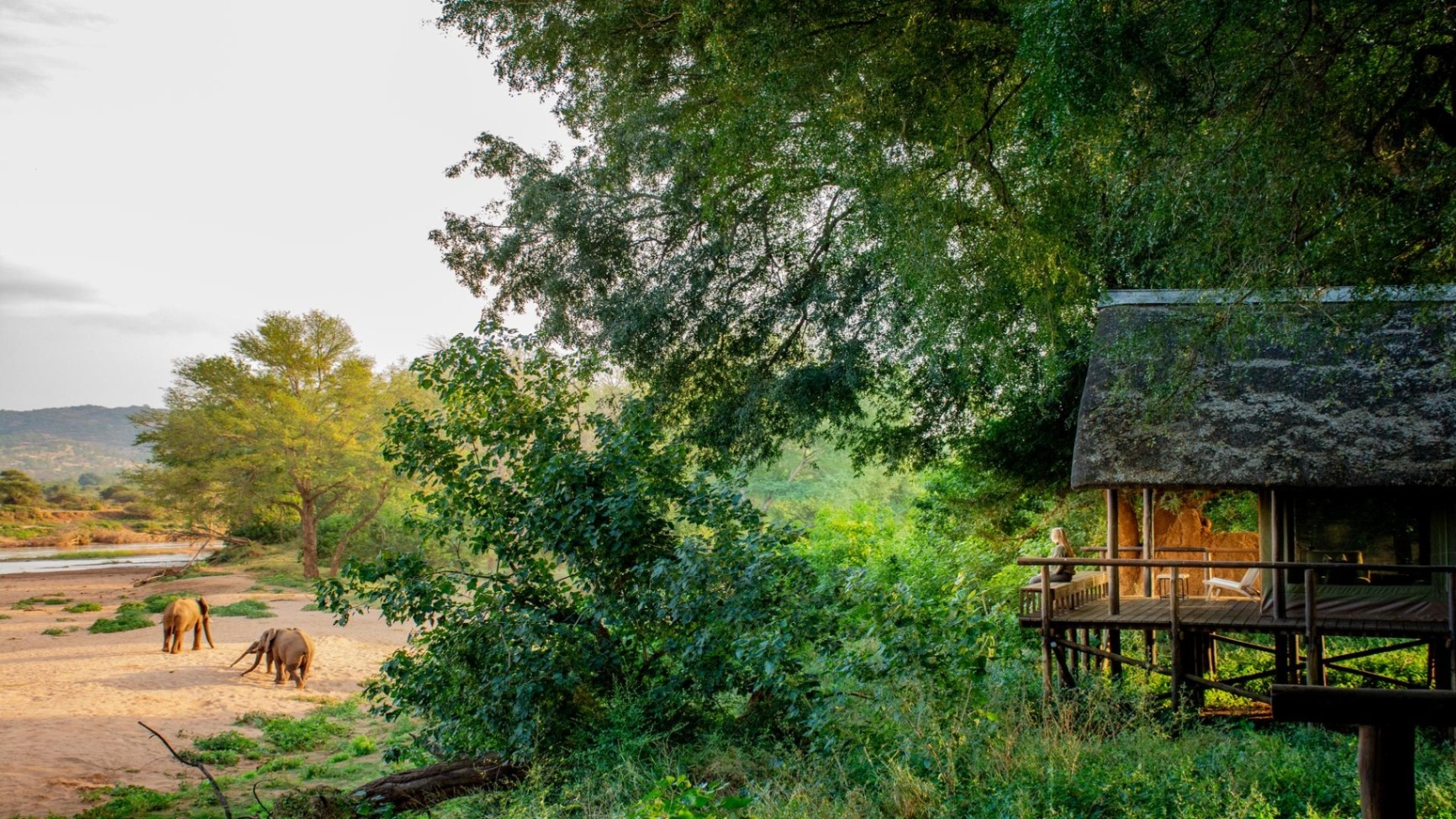 RETURN Africa Pafuri Tented Camp View